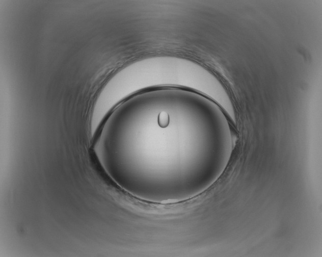 X0000113220027200909101159