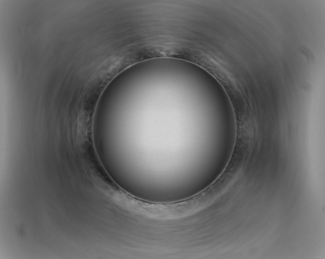 X0000113220030200909101159