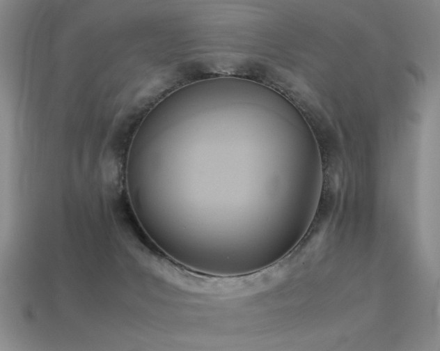 X0000113220031200909101159