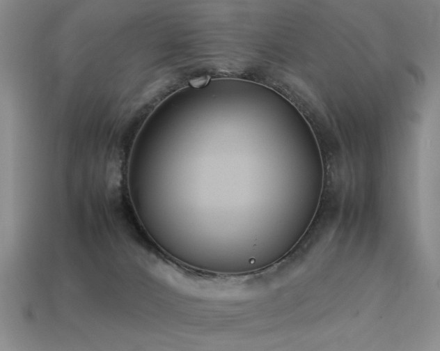 X0000113220032200909101159