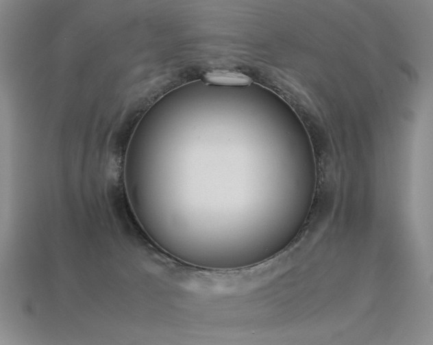 X0000113220033200909101159