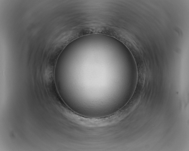 X0000113220034200909101159