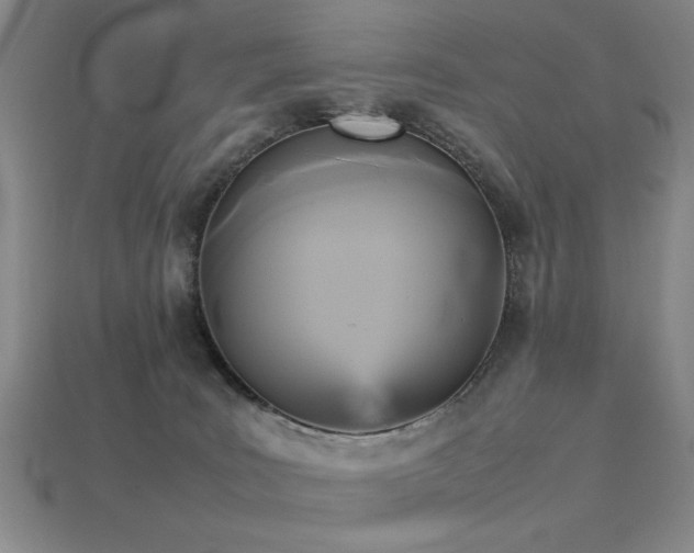 X0000113220035200909101159