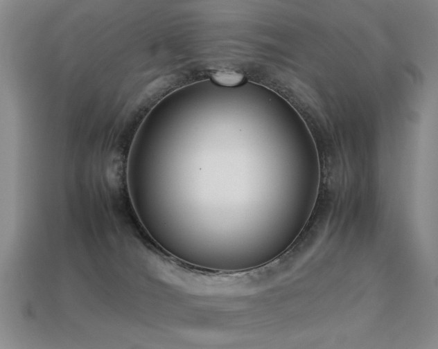 X0000113220036200909101159