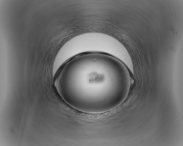 X0000113220037200909101159