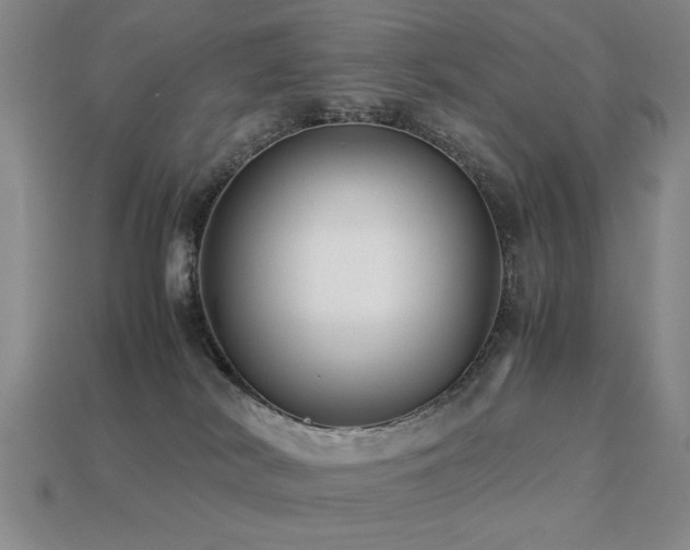 X0000113220038200909101159