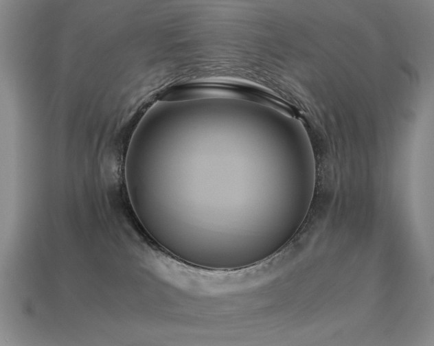 X0000113220039200909101159