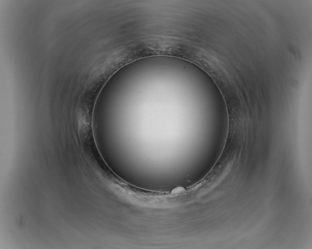 X0000113220040200909101159