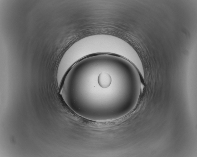 X0000113220041200909101159