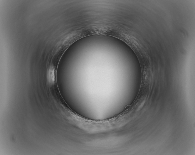 X0000113220042200909101159