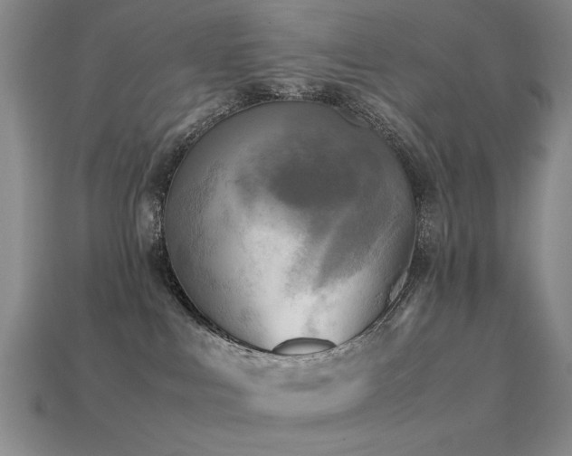 X0000113220043200909101159