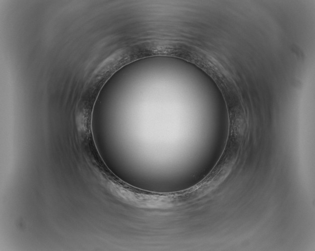 X0000113220044200909101159