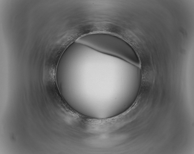 X0000113220045200909101159