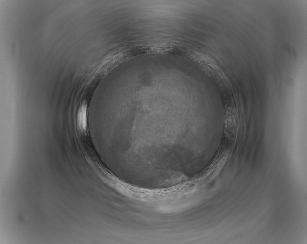 X0000113220046200909101159