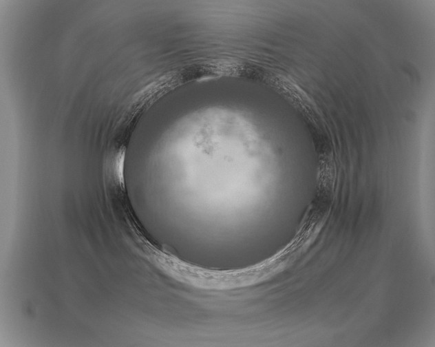 X0000113220047200909101159