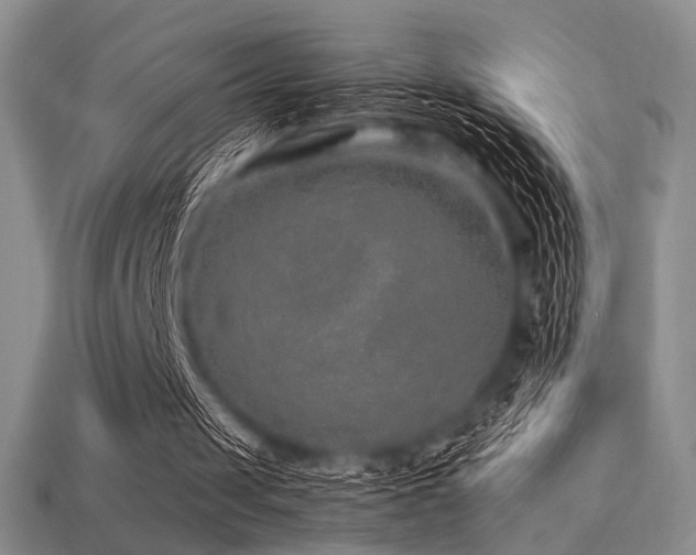 X0000113220049200909101158