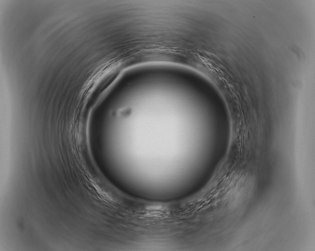 X0000113220050200909101158