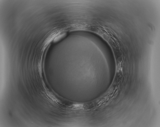 X0000113220052200909101158