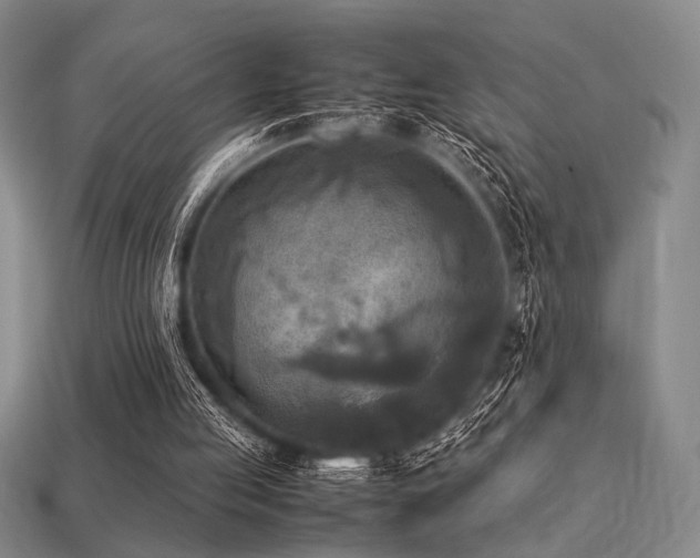 X0000113220053200909101158