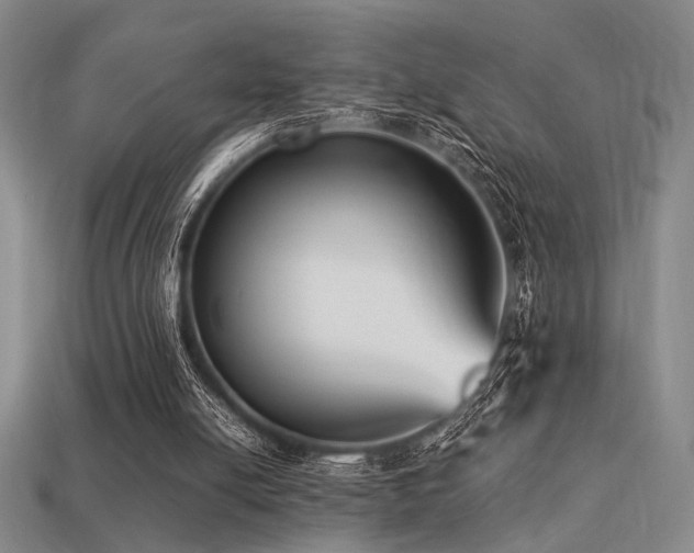 X0000113220054200909101158