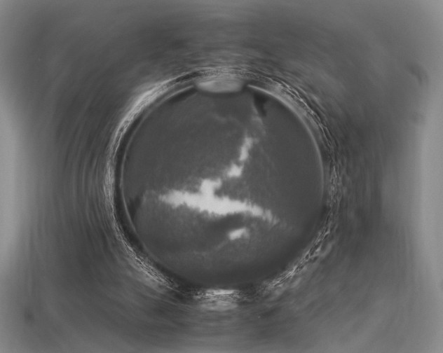 X0000113220055200909101158