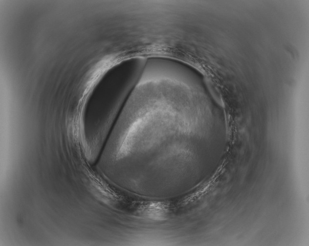 X0000113220056200909101158