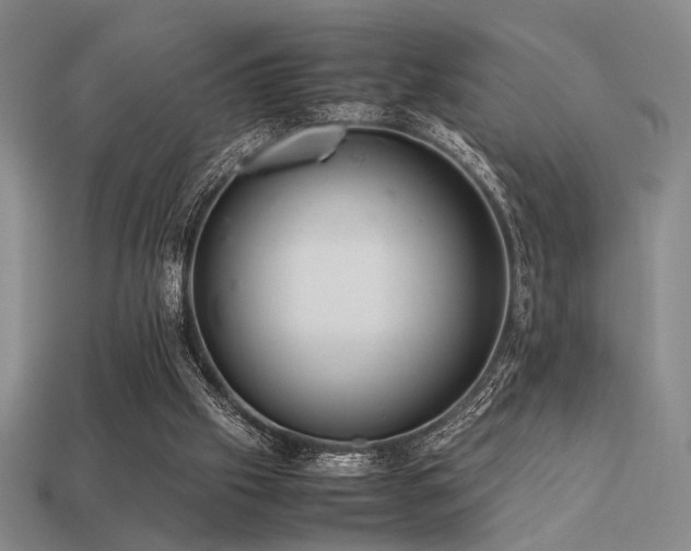 X0000113220057200909101158