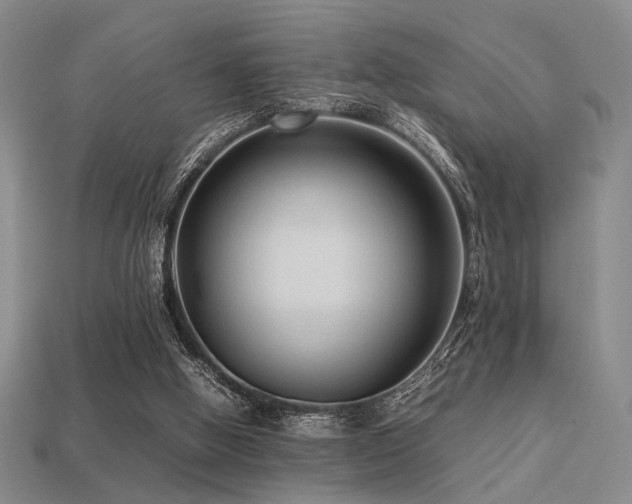 X0000113220058200909101158