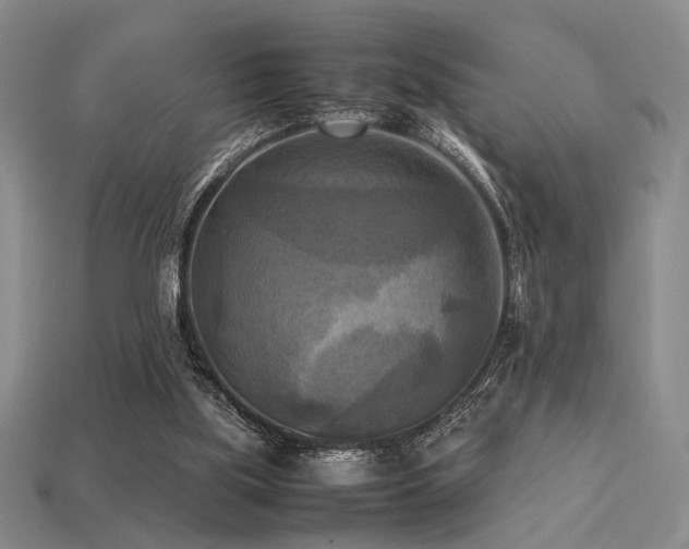 X0000113220059200909101158