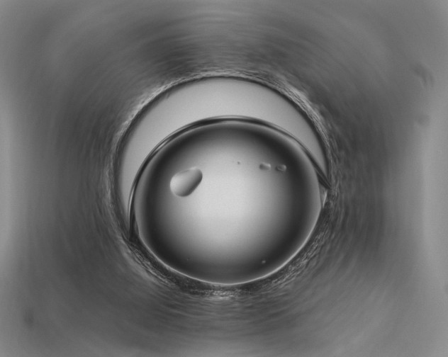 X0000113220060200909101158