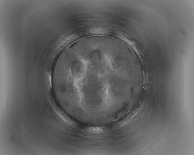 X0000113220061200909101158