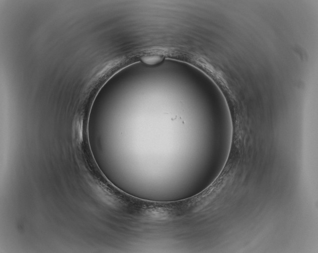 X0000113220062200909101158