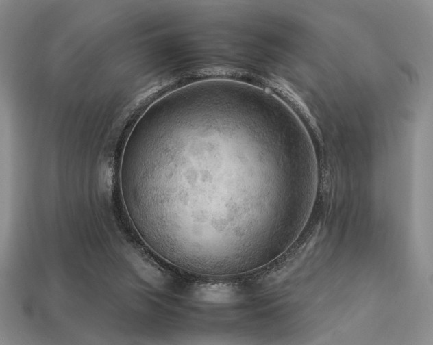 X0000113220063200909101158