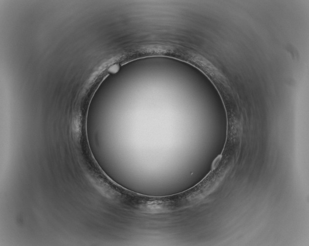 X0000113220064200909101159