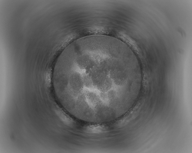 X0000113220065200909101159