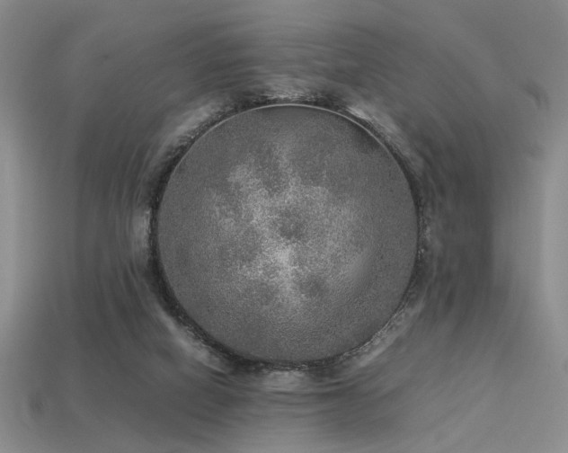 X0000113220066200909101159