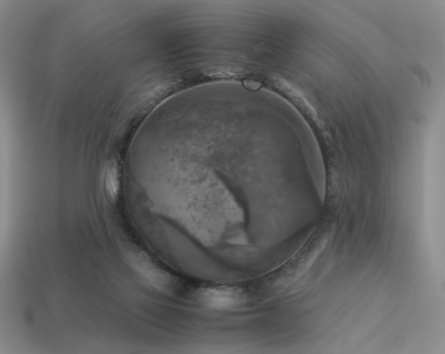 X0000113220069200909101159