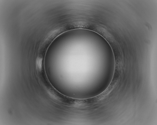 X0000113220070200909101159