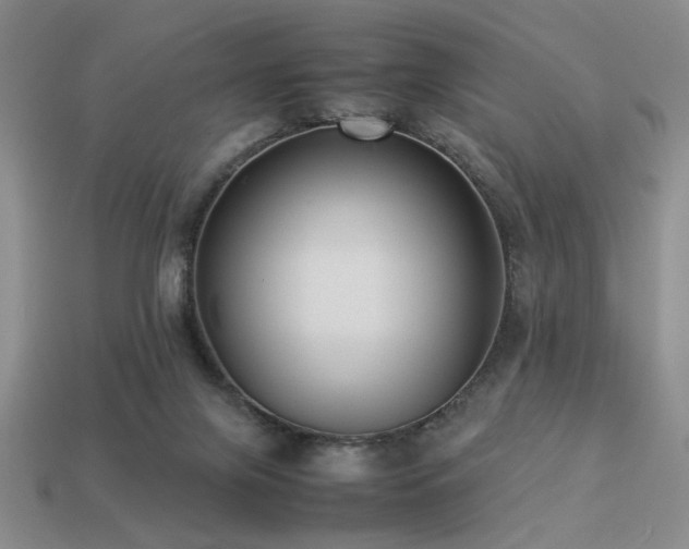 X0000113220071200909101159