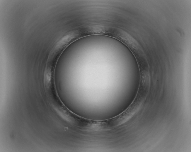 X0000113220072200909101159