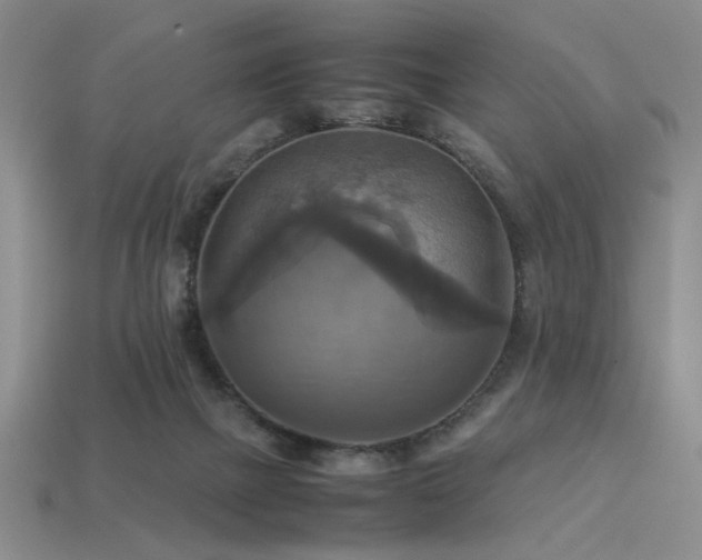 X0000113220073200909101159