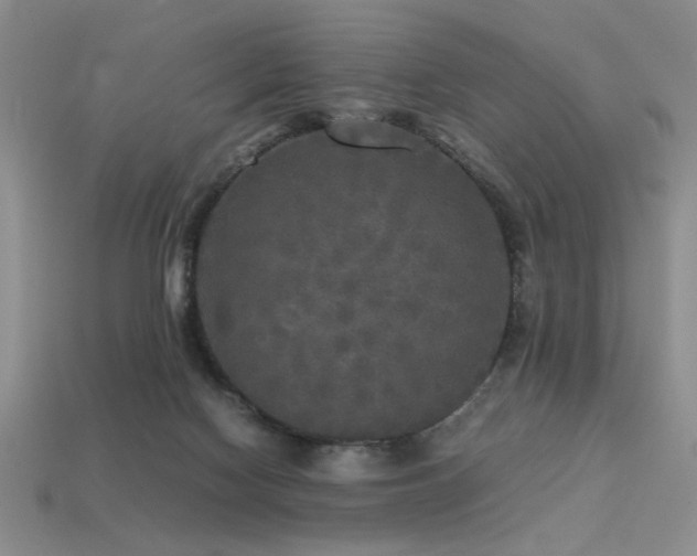 X0000113220074200909101159