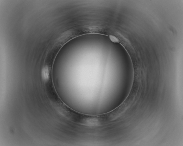 X0000113220075200909101159