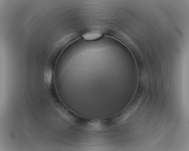 X0000113220076200909101159