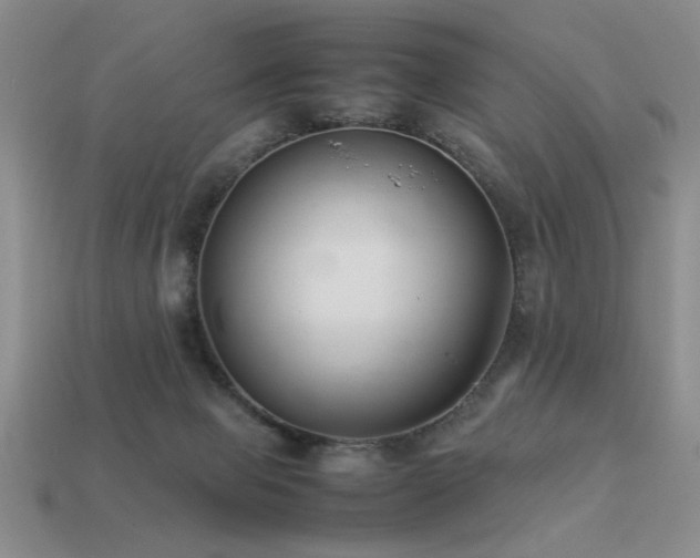 X0000113220077200909101159