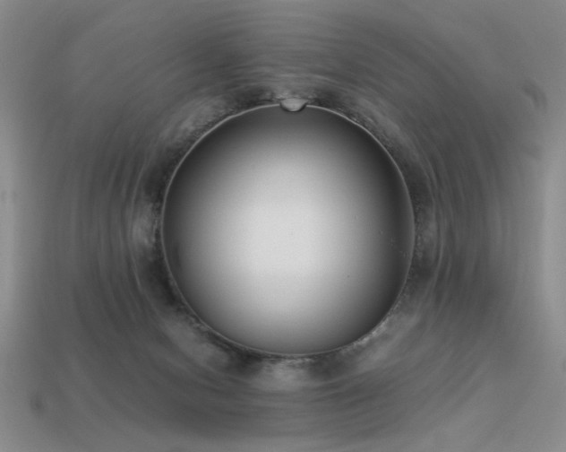 X0000113220078200909101159