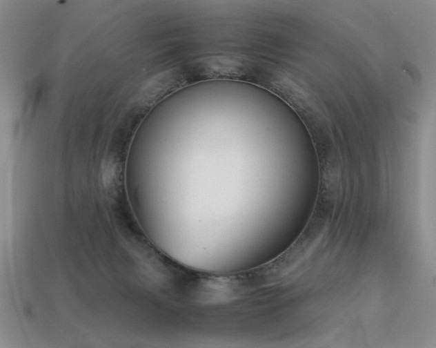 X0000113220079200909101159