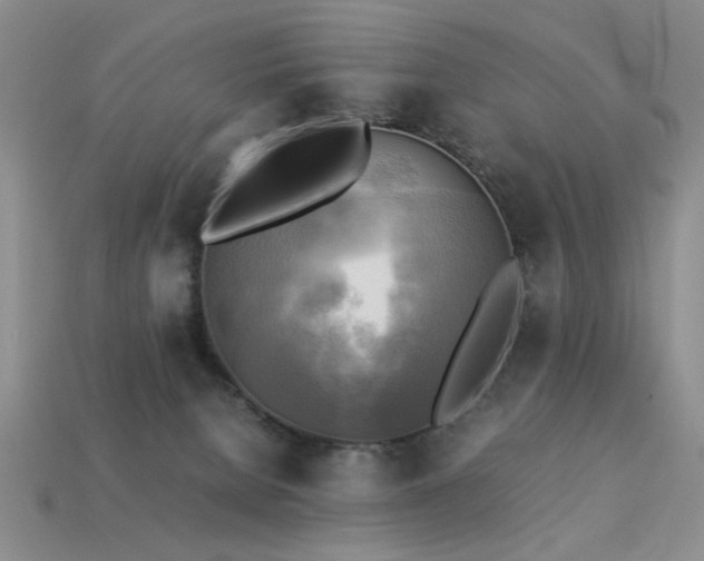 X0000113220080200909101159