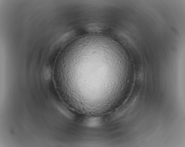 X0000113220081200909101159