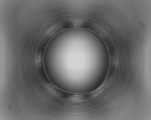 X0000113220082200909101159